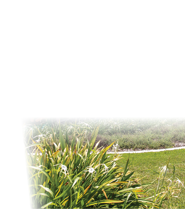 Bowen, Queensland / Australia - 31 March 2020